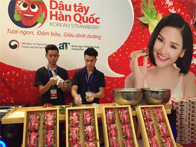 Dâu tây tươi Hàn Quốc chính thức được nhập khẩu vào Việt Nam