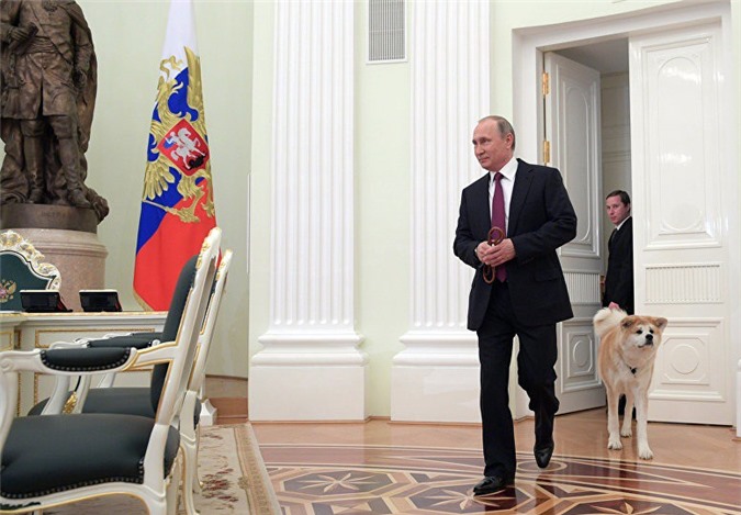 Ông Putin dẫn một chú chó đến cuộc gặp phóng viên Nhật Bản 