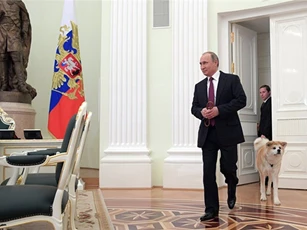 Ông Putin dẫn một chú chó đến cuộc gặp phóng viên Nhật Bản