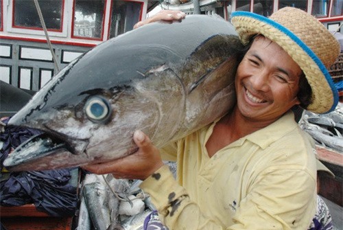 Trung Quốc sẽ là thị trường tiềm năng cho cá ngừ Việt Nam