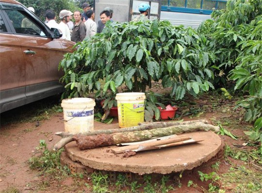 Mẹ lao xuống giếng cứu con bất thành, hai mẹ con tử vong
