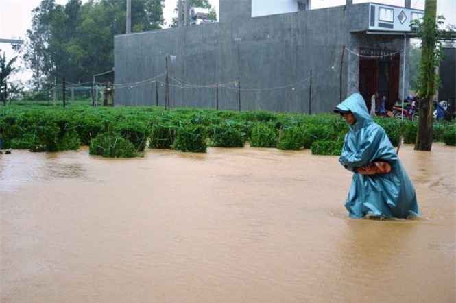 Thời tiết 19/12: Bắc Bộ rét về đêm và sáng, miền Trung mưa lũ
