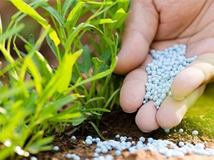 Giá phân bón tháng 12 không có nhiều biến động