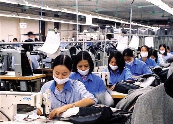 Bết bát vì bất động sản, May Phú Thịnh - Nhà Bè hủy niêm yết