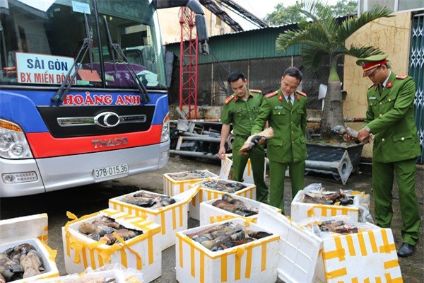 Hà Tĩnh: Bắt xe khách chở hơn 1 tấn đuôi trâu bò bốc mùi hôi thối