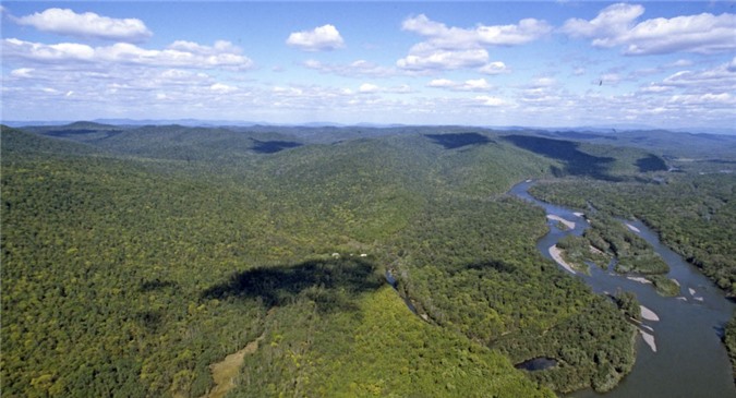 Tổng thống Putin: Nga là nhà tài trợ sinh thái lớn nhất thế giới