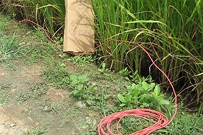 Cha bẫy điện quanh nhà trốn đối thủ khiến con trai chết thảm