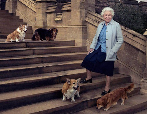 Đi dạo cung điện đêm khuya, Nữ hoàng Anh suýt bị bảo vệ bắn