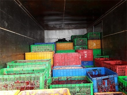 Đồng Nai: Ngăn chặn gần 5 tấn nội tạng thối đổ xuống sông