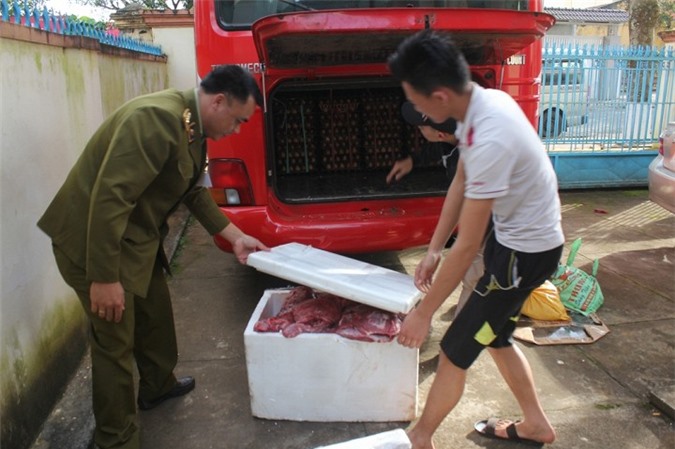 Hàng trăm kg thịt thối vận chuyển trên xe khách