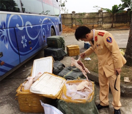 Bắt giữ xe khách vận chuyển gần 550kg thịt lợn sữa 