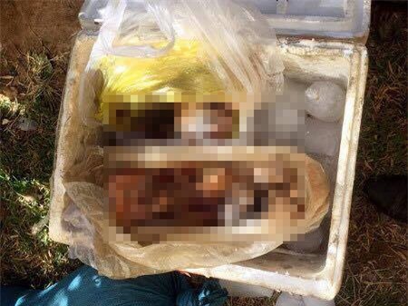 CSGT phát hiện 3 cá thể khỉ bị giết, ướp đông lạnh
