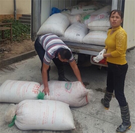 Hà Nội: Bắt xe tải vận chuyển 2 tấn nội tạng thối đi tiêu thụ