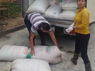 Hà Nội: Bắt xe tải vận chuyển 2 tấn nội tạng thối đi tiêu thụ