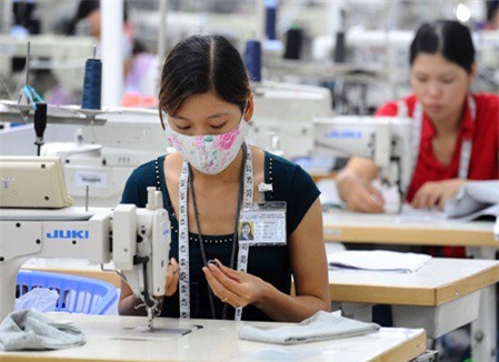 Cần khởi kiện doanh nghiệp nợ bảo hiểm ra tòa thay vì rút giấy phép