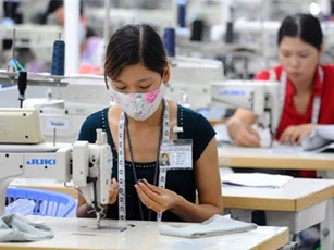 Cần khởi kiện doanh nghiệp nợ bảo hiểm ra tòa thay vì rút giấy phép