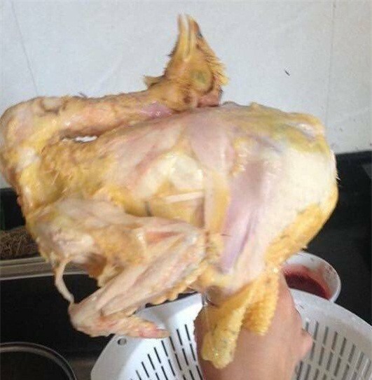 Dâu "đảm" luộc gà tơi tả khiến mẹ chồng sốc nặng