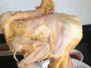 Dâu "đảm" luộc gà tơi tả khiến mẹ chồng sốc nặng