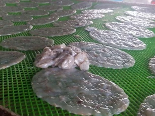 Bắt quả tang cơ sở dùng hóa chất chế biến cá bò khô