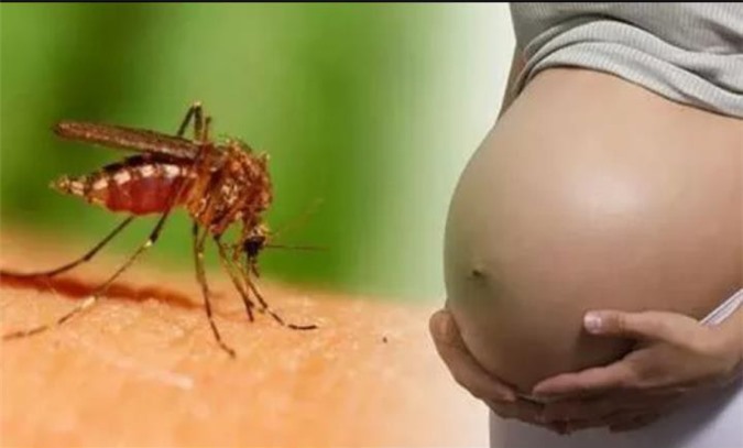 Ca nhiễm Zika đầu tiên tại Bến Tre đang mang bầu 18 tuần