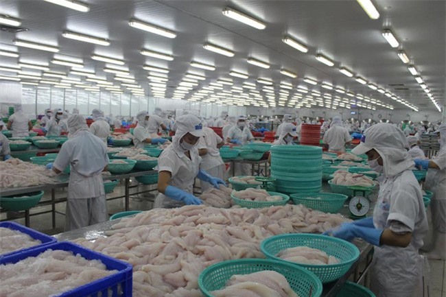 Doanh nghiệp Việt nguy cơ bị đối tác nước ngoài lừa hơn 1,3 tỷ đồng