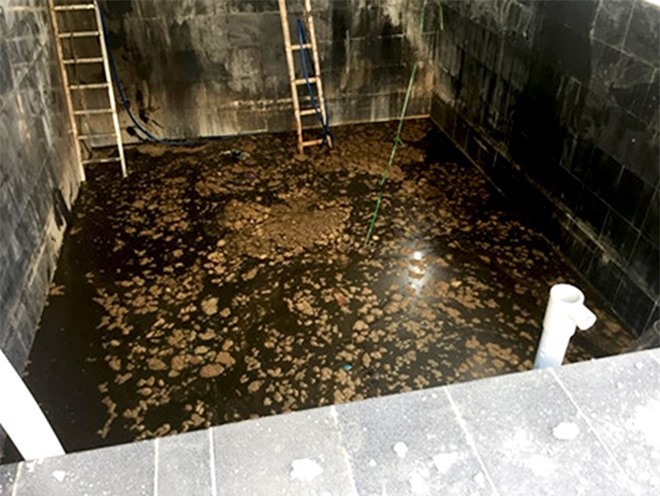 Vụ 5 người chết trong hầm mắm: Phút kinh hoàng qua lời kể nhân chứng