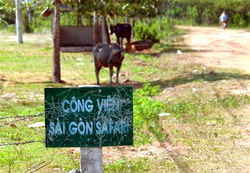 Thanh tra toàn diện dự án Thảo Cẩm Viên mới 500 triệu USD