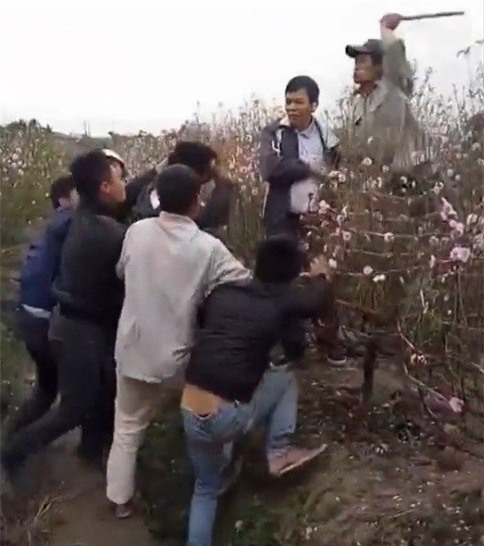 Bắt giữ kẻ đóng giả khách mua đào, trộm xe máy