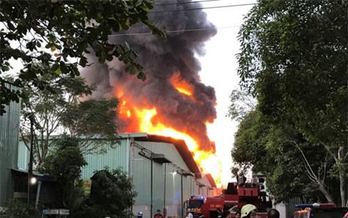 TP.HCM: Hàng trăm mét vuông xưởng hóa chất bị thiêu rụi