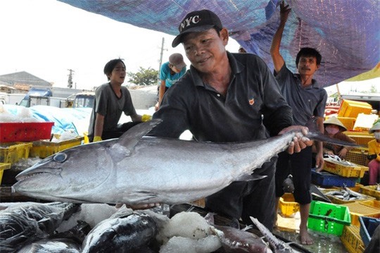 Ngư dân hồ hởi hứng "lộc biển" ngày giáp Tết