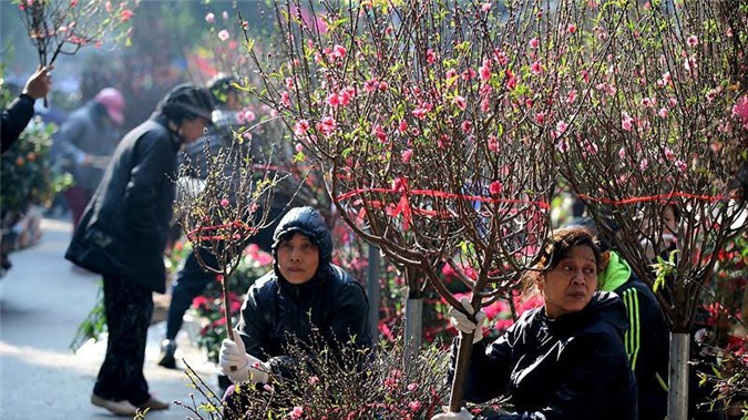 Bắc Bộ tăng cường rét, nhiệt độ thấp nhất 11 độ C