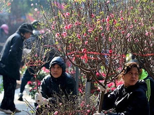 Bắc Bộ tăng cường rét, nhiệt độ thấp nhất 11 độ C