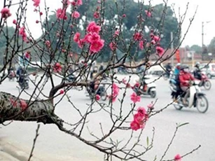 Tin mới nhất thời tiết từ ngày 30 đến mùng 5 Tết