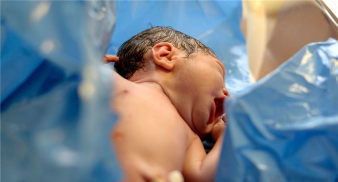 Nga: Cậu bé Putin ở vùng Vladimir có thêm em trai mới sinh là Shoigu