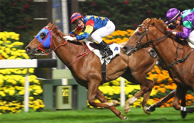 Cá cược bóng đá, đua ngựa tối đa chỉ 1 triệu đồng mỗi lượt