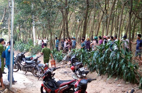 Bầy ong tấn công, người đàn ông chết tức tưởi vì 100 vết đốt