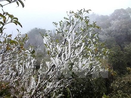 Bắc Bộ rét buốt, Mẫu Sơn lạnh 2 độ C