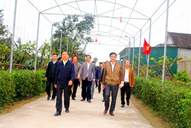 Hà Tĩnh: Kiểm tra công tác tham quan thực tế cho Hội nghị toàn quốc Nông thôn mới 