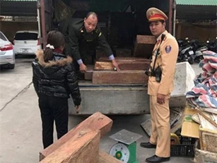 Nữ tài xế chở hơn 900kg gỗ hương lậu đi tiêu thụ