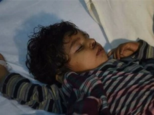 IS đánh bom đền thờ Hồi giáo ở Pakistan, hơn 320 người thương vong