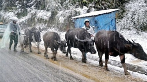 Bắc Bộ rét đậm rét hại, có nơi xuống dưới 10 độ C