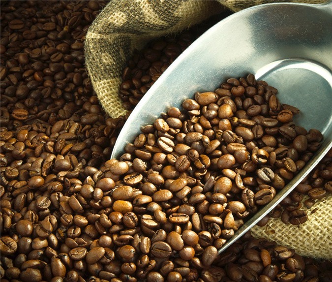Brazil tạm hoãn kế hoạch nhập khẩu cà phê Robusta Việt Nam