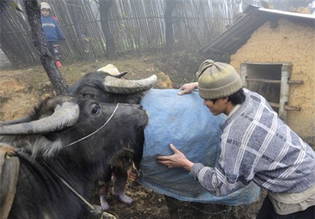 Tin mới nhất không khí lạnh tràn về miền Bắc