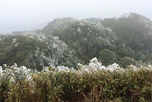 Những khu vực nhiệt độ tụt giảm dưới 10 độ C tại Việt Nam