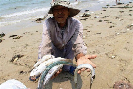 Rà soát nhu cầu cho vay, xử lý nợ của người dân chịu sự cố môi trường biển