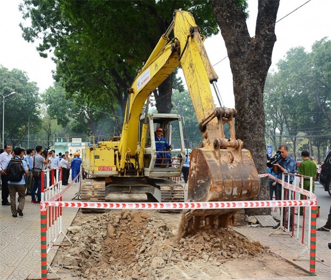 Xây cầu vượt vào sân bay Tân Sơn Nhất: Di dời 125 cây xanh cổ thụ