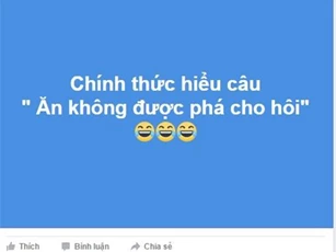 Đăng status đầy ẩn ý, Lâm Vĩnh Hải nhận 'rổ gạch đá' từ dư luận
