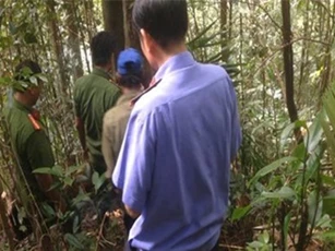 Trúng đạn lạc, thợ săn tử vong trong rừng ở Quảng Ngãi