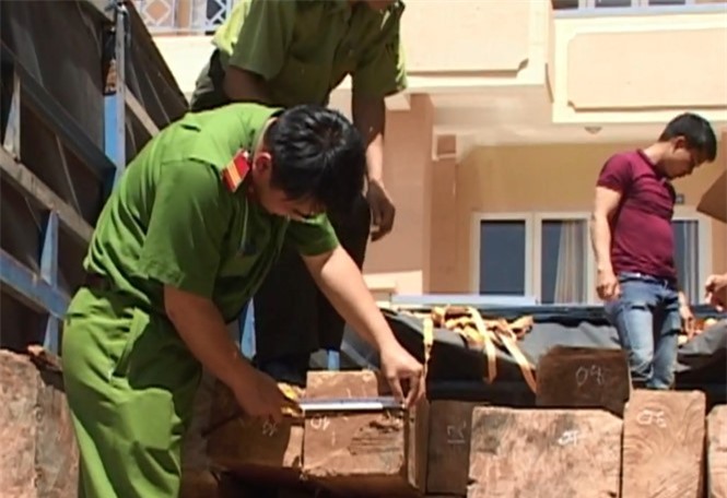 Bắt liên tiếp 2 xe ô tô vận chuyển gỗ lậu ở Lâm Đồng