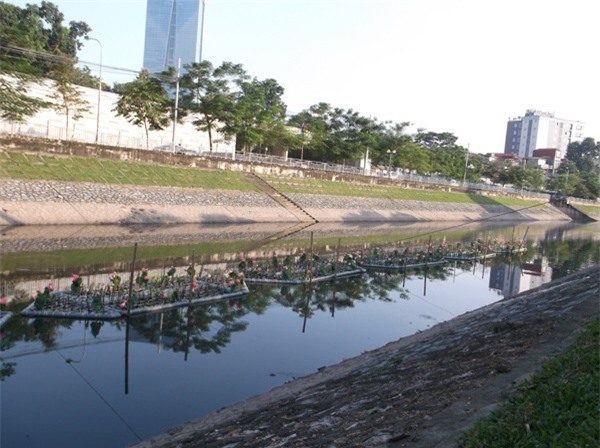 700.000 USD vốn ODA cải thiện nước sông Tô Lịch